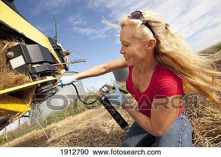 a woman works with equipment for harvesting wheat; three hills, alberta, canada View Large Photo Image Stock Image - a woman works with equipment for harvesting wheat; three hills, alberta, canada. Fotosearch