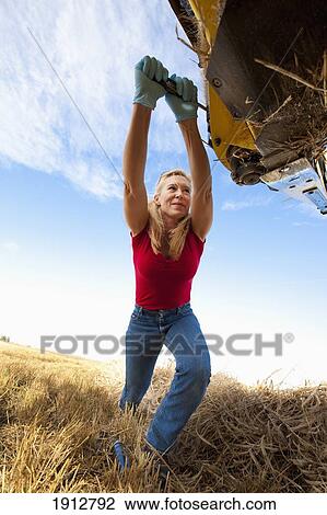 a woman works with equipment for harvesting wheat; three hills, alberta, canada View Large Photo Image Stock Image - a woman works with equipment for harvesting wheat; three hills, alberta, canada. Fotosearch