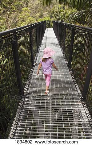 Stock Image - a young girl walking on the rainforest skywalk in tamborine national park; gold coast hinterland, queensland, australia. Fotosearch