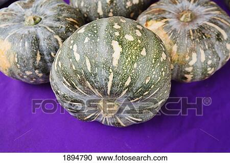 acorn squash sitting on a purple surface View Large Photo Image Stock Image - acorn squash sitting on a purple surface. Fotosearch