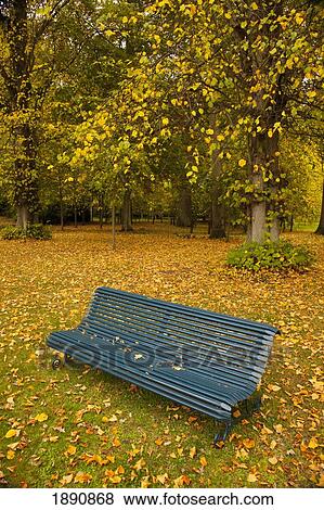 autumn colored leaves on trees and a park bench; scottish borders, scotland View Large Photo Image Stock Photo - autumn colored leaves on trees and a park bench; scottish borders, scotland. Fotosearch