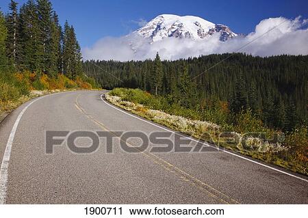 autumn colors along a road in mt. rainier national park; washington, united states of america View Large Photo Image Stock Image - autumn colors along a road in mt. rainier national park; washington, united states of america. Fotosearch