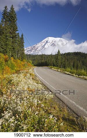 autumn colors along a road in mt. rainier national park; washington, united states of america View Large Photo Image Stock Image - autumn colors along a road in mt. rainier national park; washington, united states of america. Fotosearch