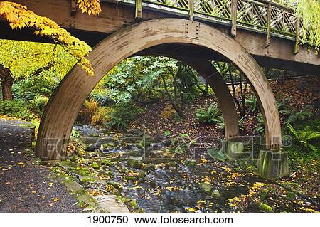 autumn colors in crystal springs rhododendron gardens and a bridge over a stream; portland, oregon, united states of america View Large Photo Image Stock Image - autumn colors in crystal springs rhododendron gardens and a bridge over a stream; portland, oregon, united states of america. Fotosearch