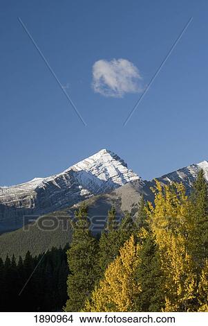 autumn colors in the rocky mountains; alberta, canada View Large Photo Image Picture - autumn colors in the rocky mountains; alberta, canada. Fotosearch