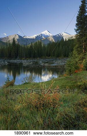 Stock Image - autumn colors in the rocky mountains; alberta, canada. Fotosearch