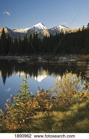 autumn colors in the rocky mountains; alberta, canada View Large Photo Image Stock Image - autumn colors in the rocky mountains; alberta, canada. Fotosearch