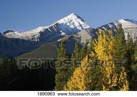autumn colors in the rocky mountains; alberta, canada View Large Photo Image Stock Image - autumn colors in the rocky mountains; alberta, canada. Fotosearch
