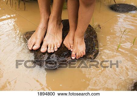 Stock Image - bare feet standing on a rock in murky water in currumbin creek; currumbin, gold coast, queensland, australia. Fotosearch