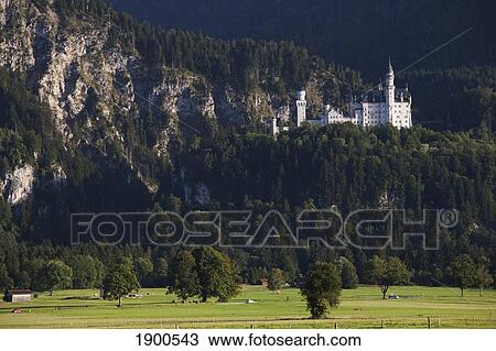 bavarian castle on a mountain side with fields in the foreground; fussen, germany View Large Photo Image Stock Image - bavarian castle on a mountain side with fields in the foreground; fussen, germany. Fotosearch