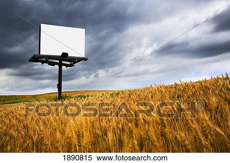 blank sign in a field of wheat; wilmar, minnesota, united states of america View Large Photo Image Stock Photography - blank sign in a field of wheat; wilmar, minnesota, united states of america. Fotosearch