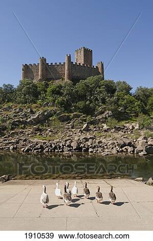 Stock Photo - castelo de almourol standing in the middle of the river tejo, constructed in 1171 by the knights templar; estremadura and ribatejo, portugal. Fotosearch