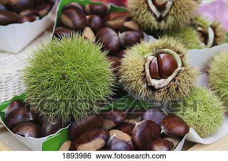 chestnuts with and without outer shell; paris, france View Large Photo Image Stock Photograph - chestnuts with and without outer shell; paris, france. Fotosearch