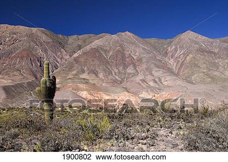 colorful hills near tilcara; jujuy, argentina View Large Photo Image Stock Image - colorful hills near tilcara; jujuy, argentina. Fotosearch