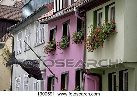 colourful building fronts with metal fish sculptures and flower boxes on the windows; lindau, germany View Large Photo Image Stock Image - colourful building fronts with metal fish sculptures and flower boxes on the windows; lindau, germany. Fotosearch