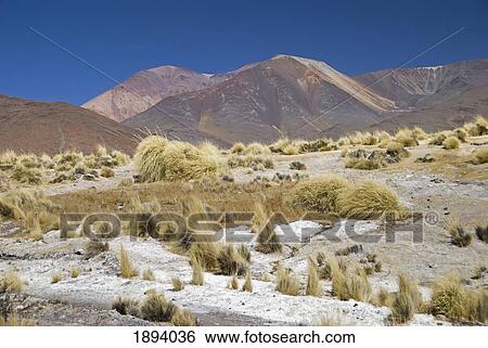 colourful landscape at the paso de bayo; san antonio de los cobres, salta, argentina View Large Photo Image Stock Photograph - colourful landscape at the paso de bayo; san antonio de los cobres, salta, argentina. Fotosearch