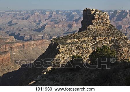 coronado butte in the early morning light in the grand canyon; arizona, united states of america View Large Photo Image Stock Image - coronado butte in the early morning light in the grand canyon; arizona, united states of america. Fotosearch