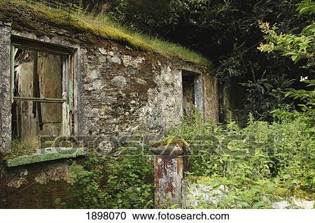 derelict cottage in the gap of dunloe outside killarney in munster region; county kerry, ireland View Large Photo Image Stock Image - derelict cottage in the gap of dunloe outside killarney in munster region; county kerry, ireland. Fotosearch