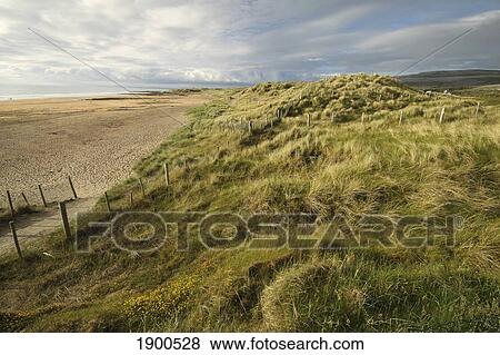 fanore beach in the burren area in munster region; county clare, ireland View Large Photo Image Stock Photo - fanore beach in the burren area in munster region; county clare, ireland. Fotosearch