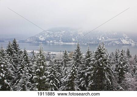 first winter snow in columbia river gorge national scenic area; oregon, united states of america View Large Photo Image Stock Photography - first winter snow in columbia river gorge national scenic area; oregon, united states of america. Fotosearch