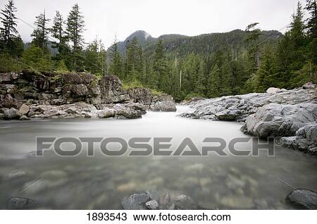 Stock Image - flowing water down a stream; tofino, british columbia, canada. Fotosearch