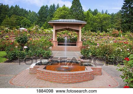 fountain and gazebo in portland rose garden; portland, oregon, united states of america View Large Photo Image Stock Photo - fountain and gazebo in portland rose garden; portland, oregon, united states of america. Fotosearch