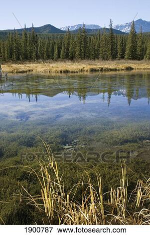 freezing pond; kananakis, alberta, canada View Large Photo Image Stock Photo - freezing pond; kananakis, alberta, canada. Fotosearch