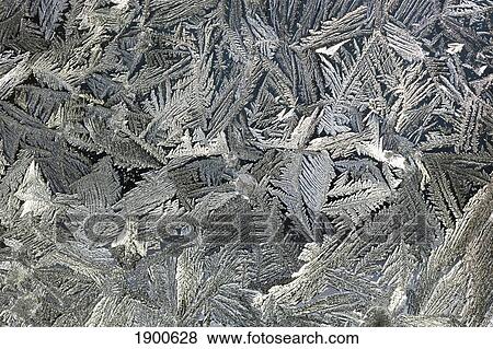 frost crystals on a window; calgary, alberta, canada View Large Photo Image Stock Photo - frost crystals on a window; calgary, alberta, canada. Fotosearch