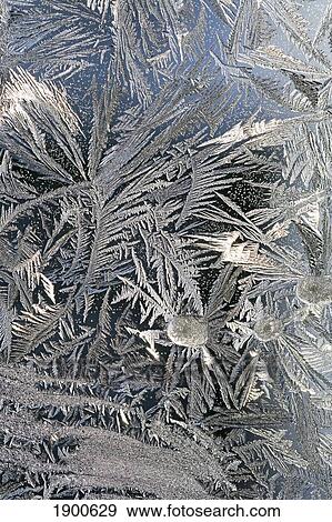 frost crystals on a window; calgary, alberta, canada View Large Photo Image Stock Photo - frost crystals on a window; calgary, alberta, canada. Fotosearch