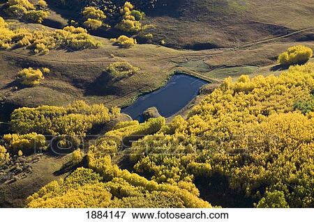golden autumn colors in rolling hills and a pond; calgary, alberta, canada View Large Photo Image Stock Photo - golden autumn colors in rolling hills and a pond; calgary, alberta, canada. Fotosearch