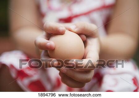Stock Photograph - hands holding a brown egg; queensland, australia. Fotosearch