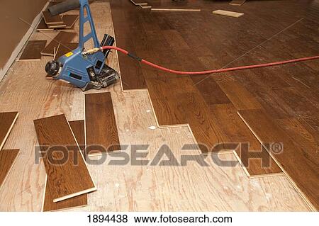 hardwood installation for a home renovation; st. albert, alberta, canada View Large Photo Image Stock Photo - hardwood installation for a home renovation; st. albert, alberta, canada. Fotosearch