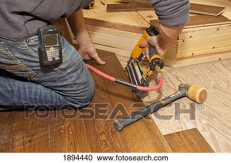 hardwood installation for home renovation; st. albert, alberta, canada View Large Photo Image Stock Image - hardwood installation for home renovation; st. albert, alberta, canada. Fotosearch