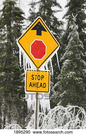 ice covered street signs; minnesota, united states of america View Large Photo Image Stock Image - ice covered street signs; minnesota, united states of america. Fotosearch