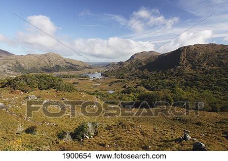 Picture - killarney lakes in killarney national park in munster region; county kerry, ireland. Fotosearch