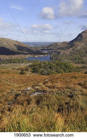 Stock Image - killarney lakes in killarney national park in munster region; county kerry, ireland. Fotosearch