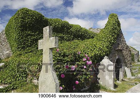 kilmacreehy church ruins near liscannor in munster region; county clare, ireland View Large Photo Image Stock Photograph - kilmacreehy church ruins near liscannor in munster region; county clare, ireland. Fotosearch