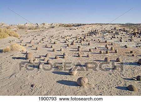 landscape in ischigualasto provincial park; san juan, argentina View Large Photo Image Stock Image - landscape in ischigualasto provincial park; san juan, argentina. Fotosearch