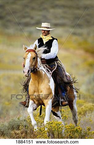lonely cowboy with old fashioned mustache rides his beautiful horse through a colorful field of wildflowers; seneca, oregon, united states of america View Large Photo Image Stock Image - lonely cowboy with old fashioned mustache rides his beautiful horse through a colorful field of wildflowers; seneca, oregon, united states of america. Fotosearch
