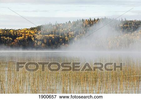 mist over a lake in autumn; ontario, canada View Large Photo Image Stock Photo - mist over a lake in autumn; ontario, canada. Fotosearch