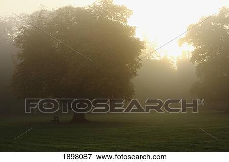 Stock Photo - misty morning in cahir in the munster region; county tipperary, ireland. Fotosearch