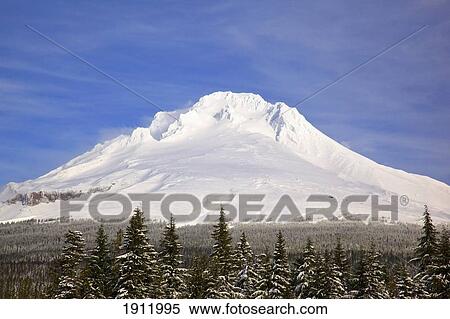 mount hood covered with snow in the oregon cascades; oregon, united states of america View Large Photo Image Stock Photography - mount hood covered with snow in the oregon cascades; oregon, united states of america. Fotosearch