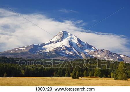 mount hood; oregon, united states of america View Large Photo Image Stock Photo - mount hood; oregon, united states of america. Fotosearch