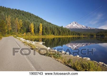 mount hood reflected in trillium lake in autumn; oregon, united states of america View Large Photo Image Stock Image - mount hood reflected in trillium lake in autumn; oregon, united states of america. Fotosearch