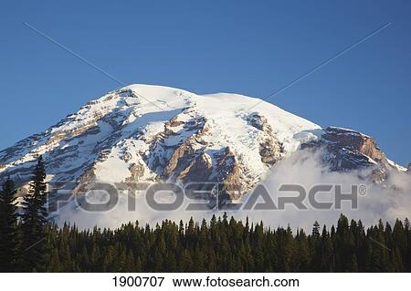 mount rainier against a blue sky in mt. rainier national park; washington, united states of america View Large Photo Image Stock Photo - mount rainier against a blue sky in mt. rainier national park; washington, united states of america. Fotosearch