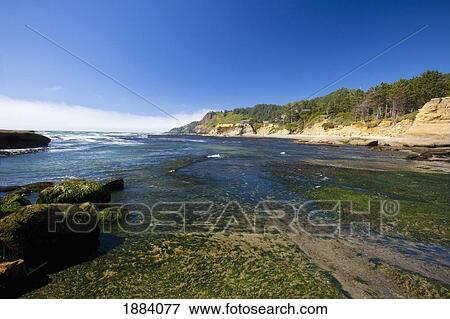 Stock Photo - otter rock beach along the oregon coast; oregon, united states of america. Fotosearch