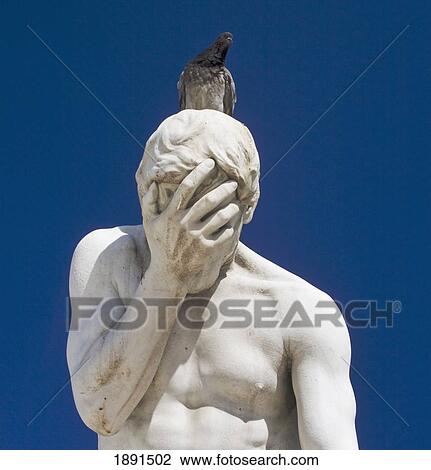 pigeon sitting on top of a white statue of a man holding his hand to his face against a blue sky; paris, france View Large Photo Image Stock Image - pigeon sitting on top of a white statue of a man holding his hand to his face against a blue sky; paris, france. Fotosearch