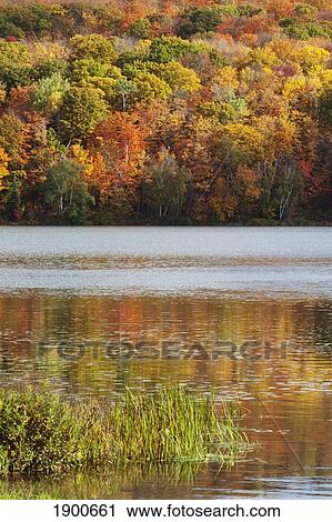 reflection of autumn colors in a lake; ontario, canada View Large Photo Image Stock Image - reflection of autumn colors in a lake; ontario, canada. Fotosearch