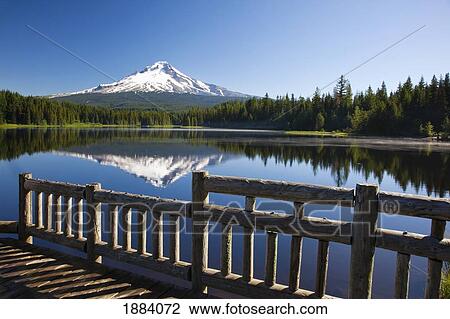 Stock Image - reflection of mount hood in trillium lake in the oregon cascades; oregon, united states of america. Fotosearch