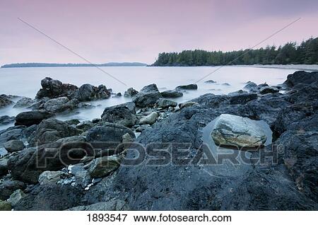 rocks along the coast at sunset; tofino, british columbia, canada View Large Photo Image Stock Photo - rocks along the coast at sunset; tofino, british columbia, canada. Fotosearch